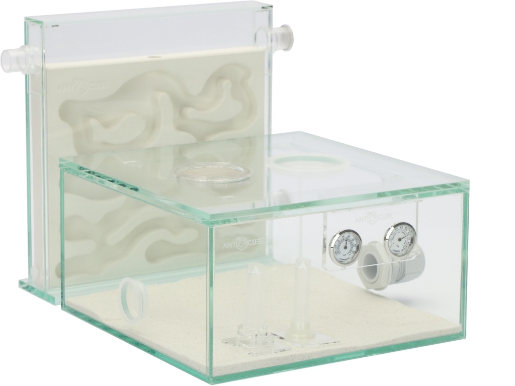ANTCUBE Starter Set L - 20x20 - Gips